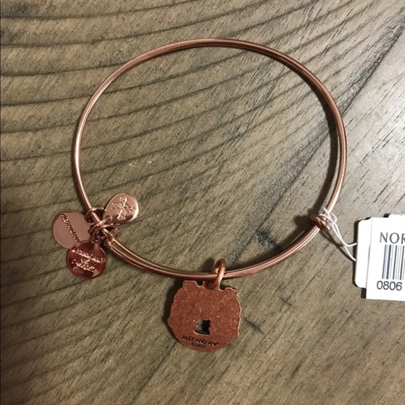 Alex and Ani rose gold bracelet - Picture 2 of 2